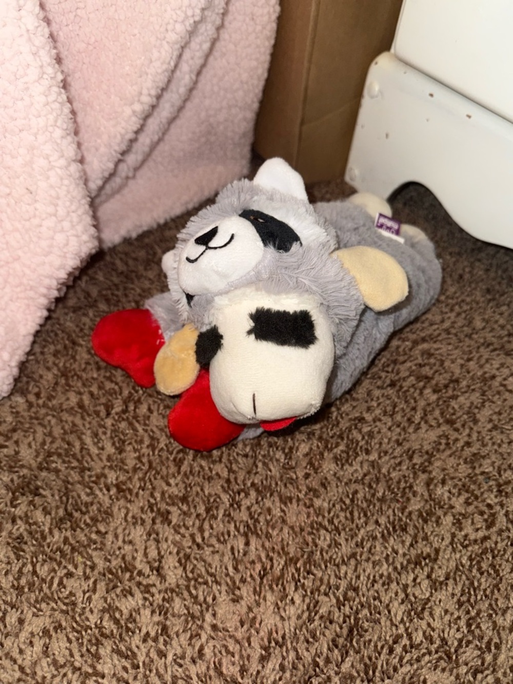 Multipet Lamb Chop Dog Toy Mystery Box Wild Style: Raccoon